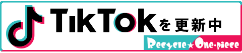 リサイクルワンピースTikTok更新中